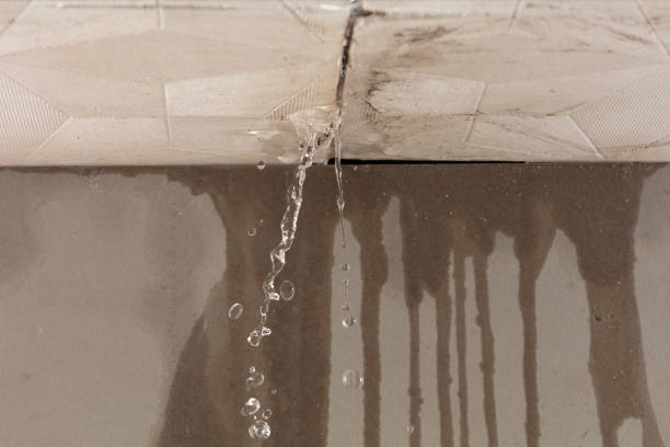 Professional Burst Pipe Cleanup technician working in Rogers, AR